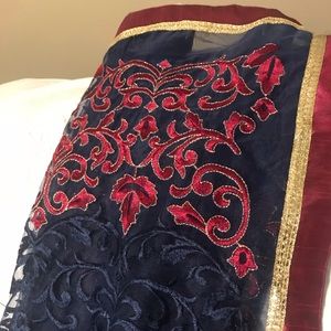 Indian Pakistani saree